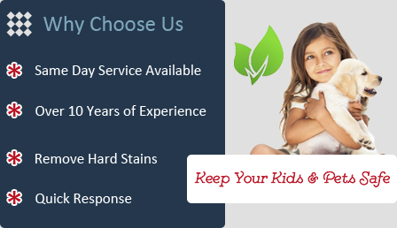 Why Choose Our Cleaning Services